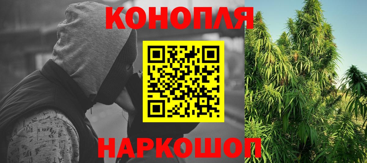 Бошки Шишки сатива Шадринск